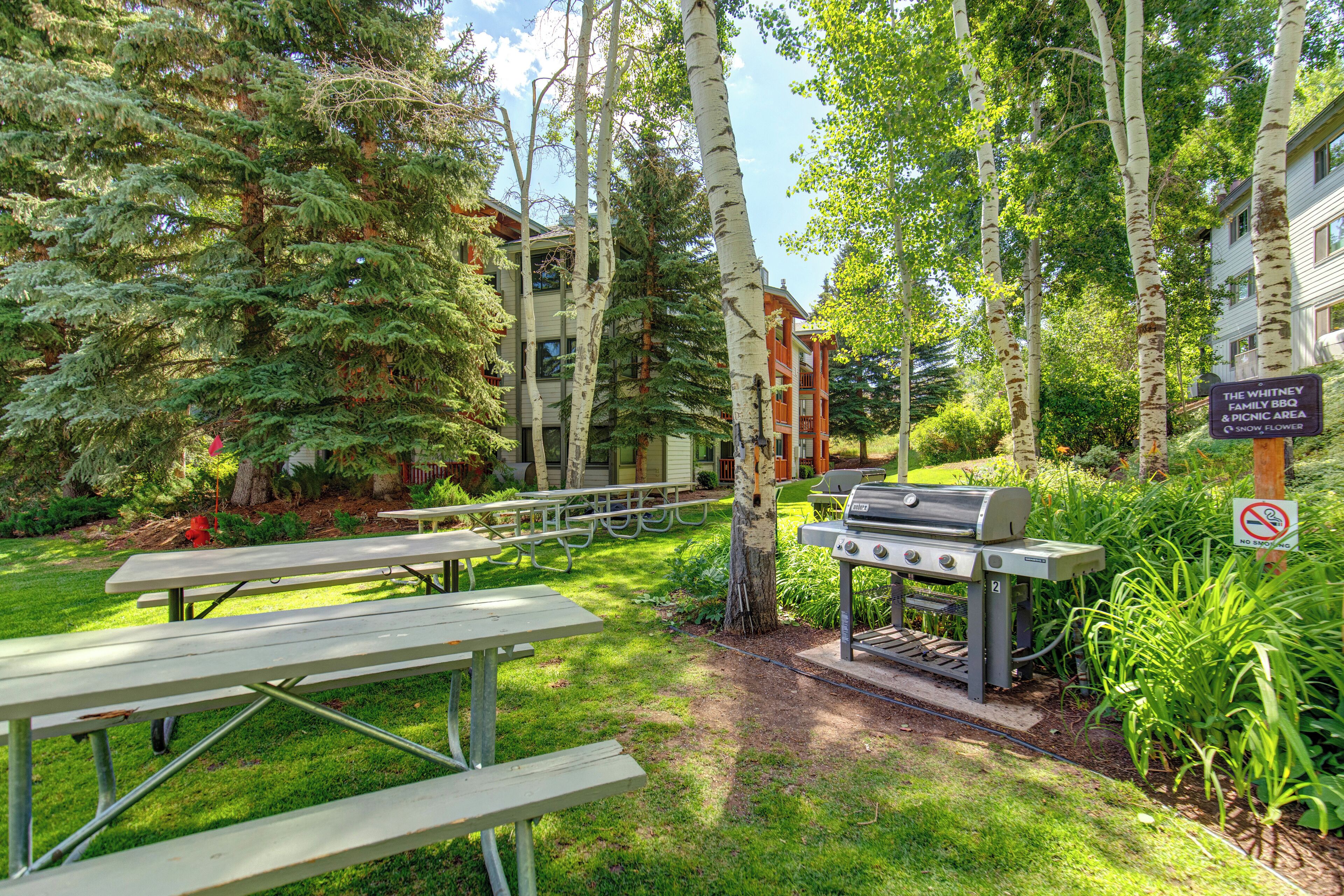 An outdoor patio area with picnic tables, a barbecue grill, and a sign indicating a family BBQ and picnic area.
