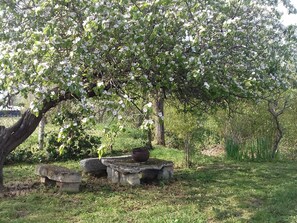 المنطقة المحيطة بالمنشأة