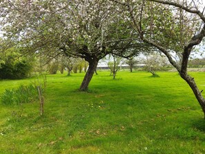 Property grounds - Charming Countryside Retreat with Orchard, Near George Sand’s Home (Le Chatelet)
