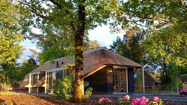 Ein Haus mit geneigtem Dach, großen Fenstern und einer Umgebung aus Bäumen und Sträuchern.