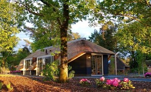 Une maison avec un toit en pente, de grandes fenêtres, et entourée d’arbres et d’arbustes.