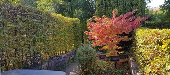 Ferienwohnung Ahorn am Fleesensee