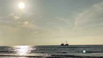 Playa en los alrededores y camastros