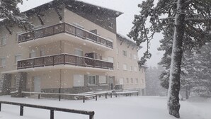 Un edificio de varios pisos con balcones, rodeado de árboles cubiertos de nieve.