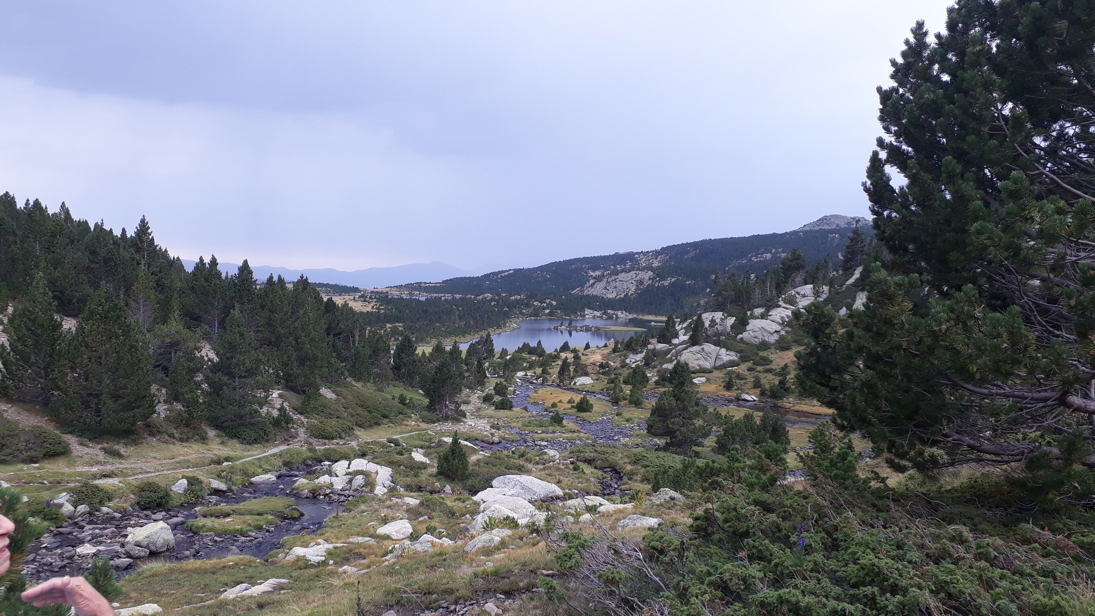 A mountainous landscape with a lake, dense forest, and rocky terrain.
