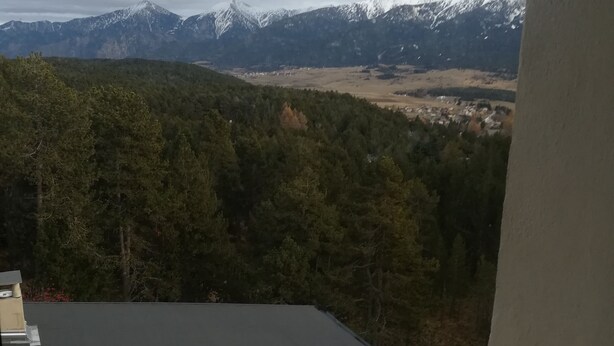 Vista desde una ventana que da a una zona boscosa con montañas nevadas a lo lejos.