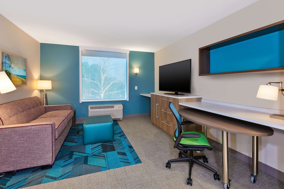 Une chambre d’hôtel équipée d’un canapé, d’un bureau, d’une chaise, d’une télévision et d’une fenêtre donnant sur des arbres.