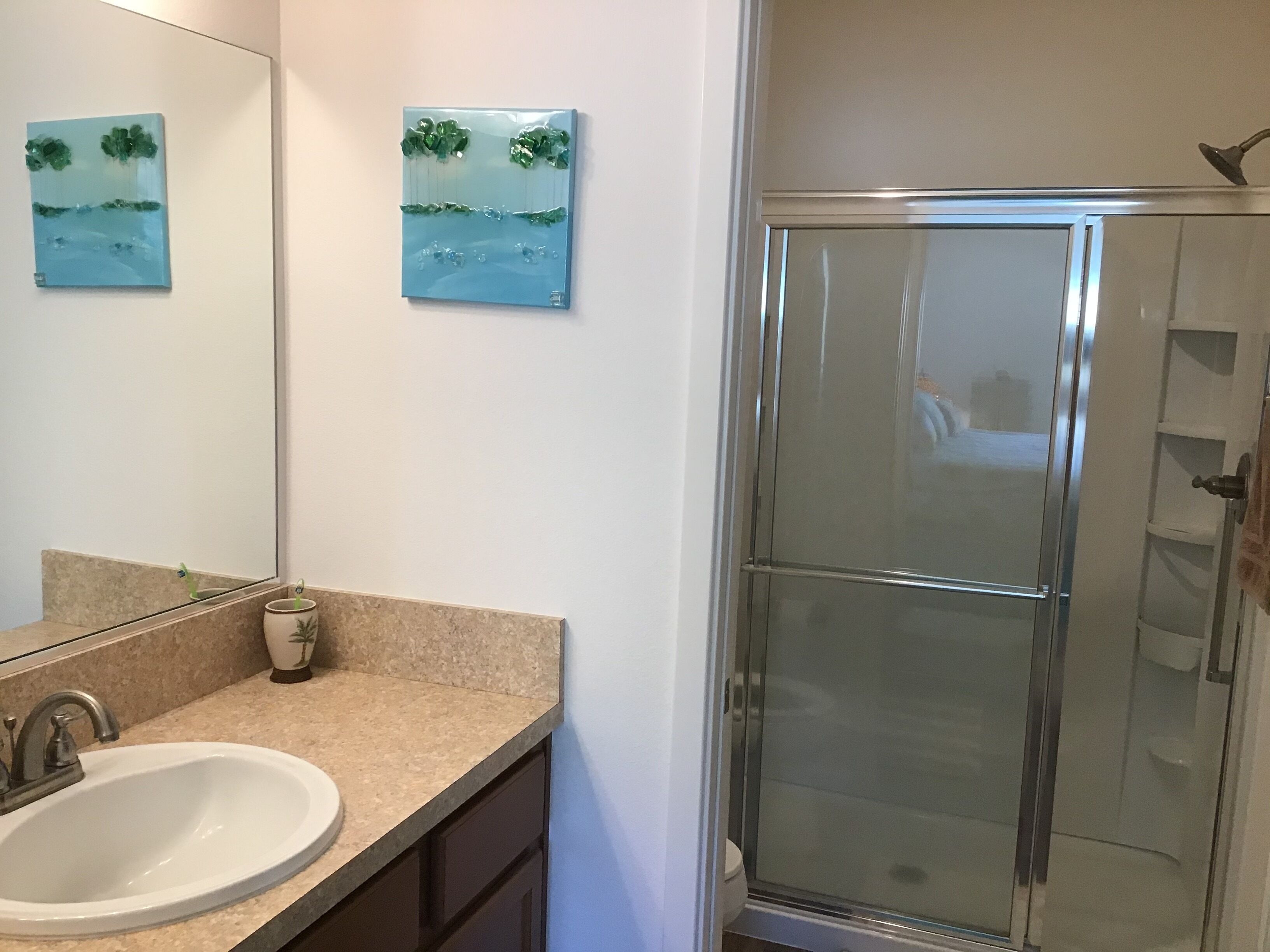 A bathroom with a sink, mirror, and two wall-mounted paintings.