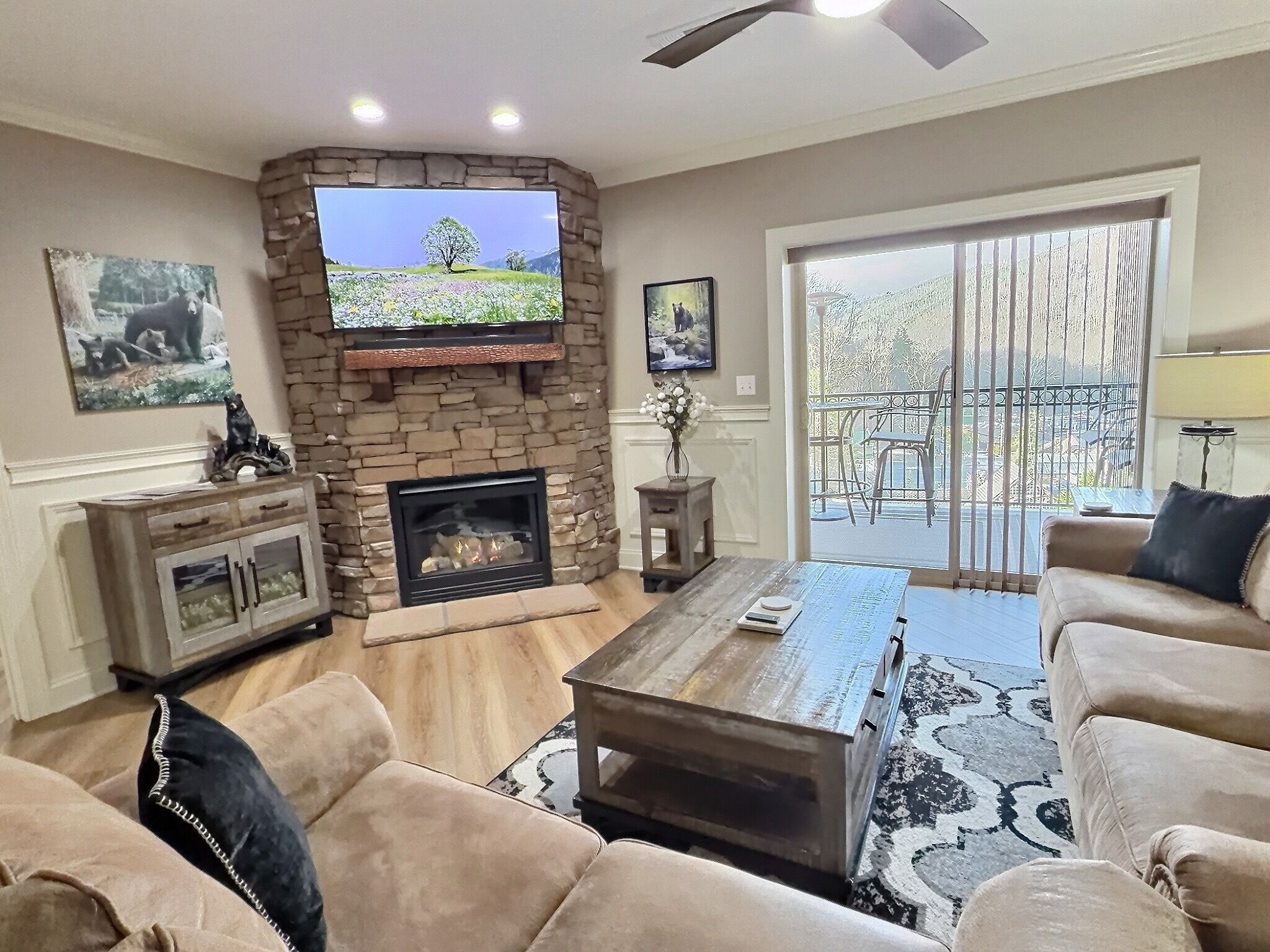 Smart TV, fireplace, books