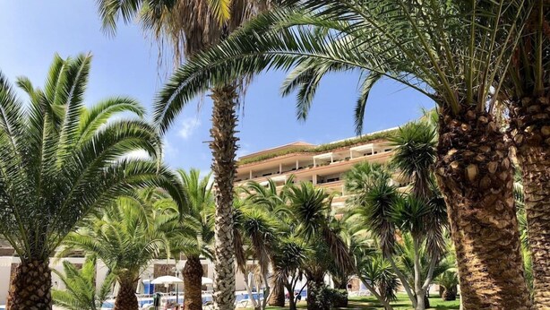 Un complex turístic amb palmeres, una zona de piscina i un edifici amb múltiples balcons.
