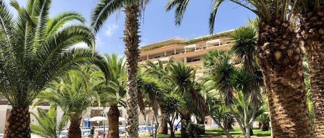 Área da propriedade