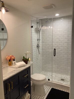 Combined shower/bathtub, hair dryer, towels, soap -  Stylishly restored 1800's historic home- heart of Virginia hunt & wine country! (Marshall)