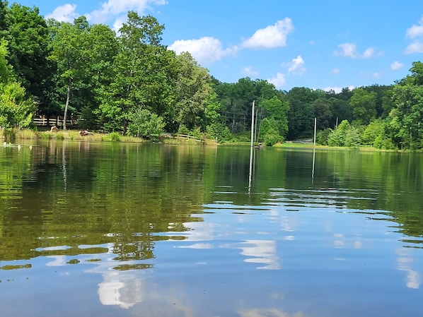 Un lac paisible, entouré d’une forêt dense et verdoyante, sous un ciel bleu et dégagé.