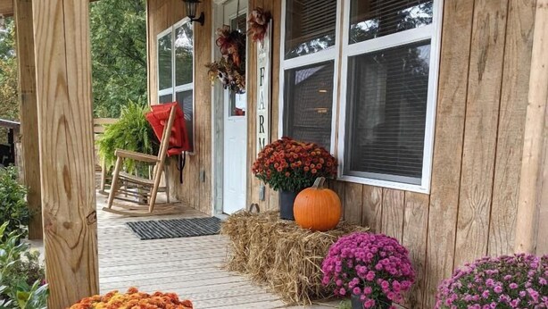 A wooden porch with a wooden bench, a pumpkin, and potted flowers. - Cozy cottage on our private lake and 75 wooded acres. (Dunlap)