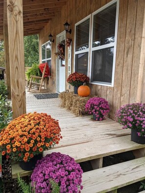 Un porche de madera con un banco de madera, una calabaza y flores en macetas.
