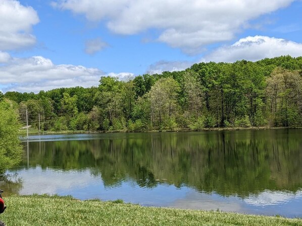 Un lago tranquilo rodeado de un bosque frondoso, con cielo despejado.