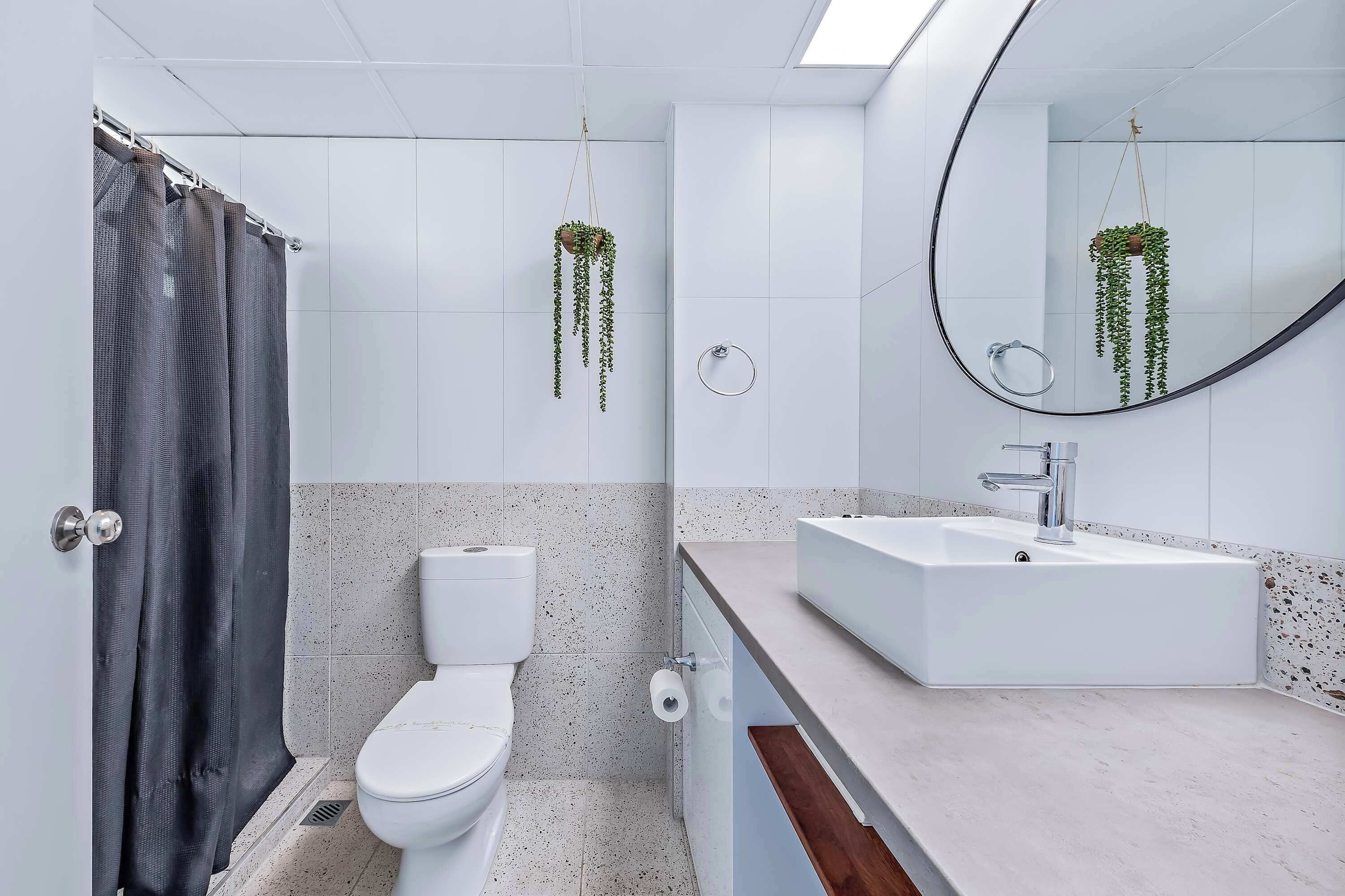Bruser, hårtørrer, Shampoo