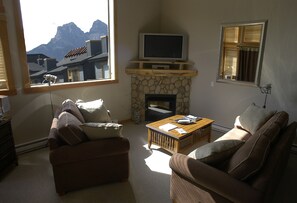 TV, fireplace, DVD player, stereo