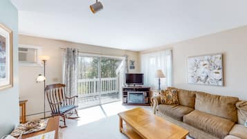 TV, fireplace, DVD player
