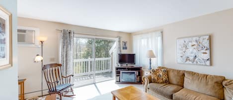 Televisión, chimenea y reproductor de DVD