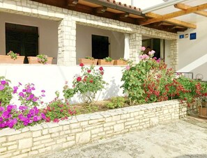 Detalle del exterior