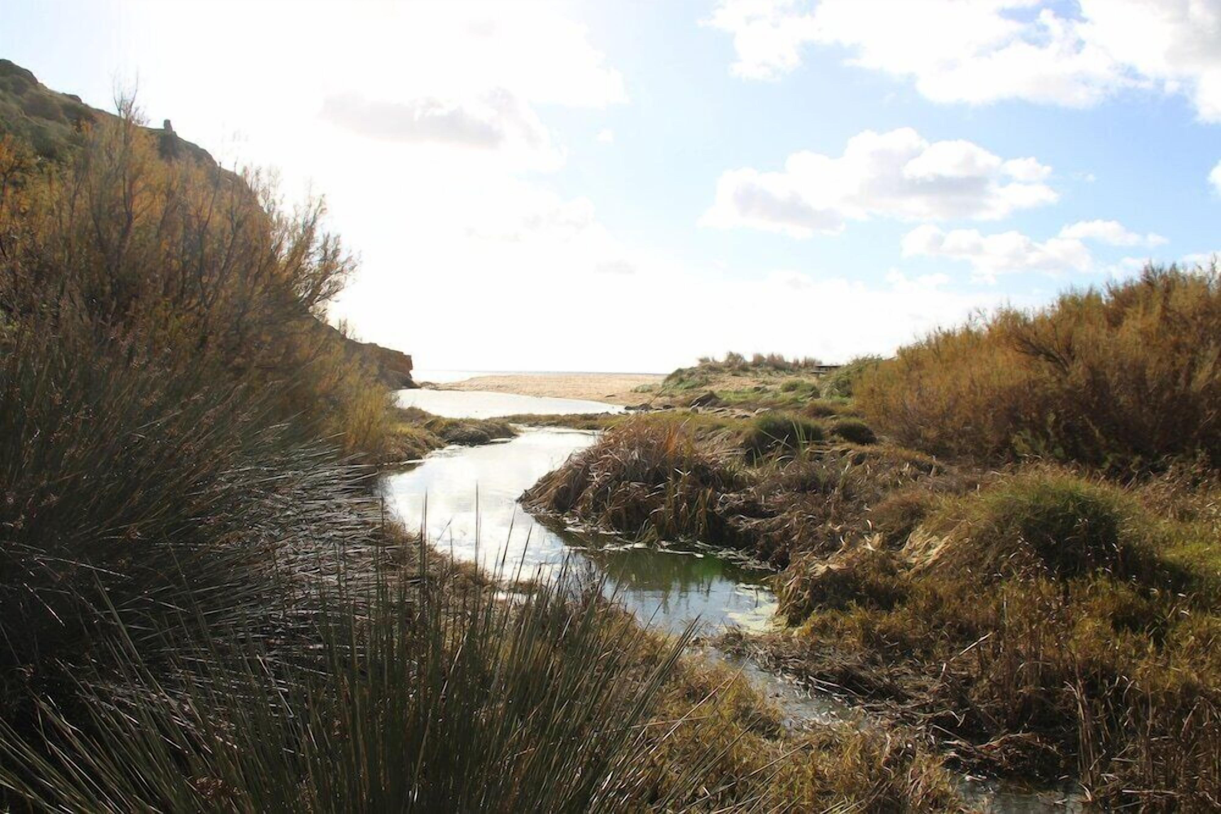 A natural landscape with a river, grassy banks, and a distant view of the sea.