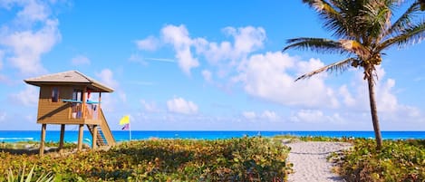 Playa en los alrededores