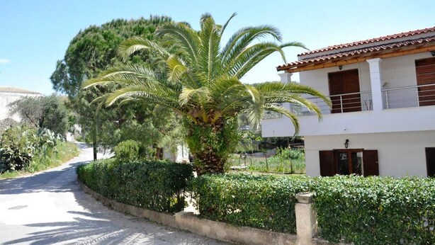 A white building with a tiled roof and wooden shutters, surrounded by lush greenery and a palm tree.