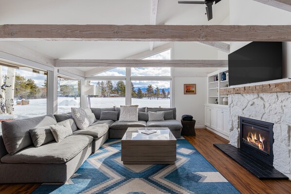 TV, fireplace, books