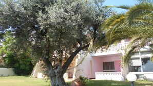 Un edificio de fachada rosa con un gran árbol en primer plano.