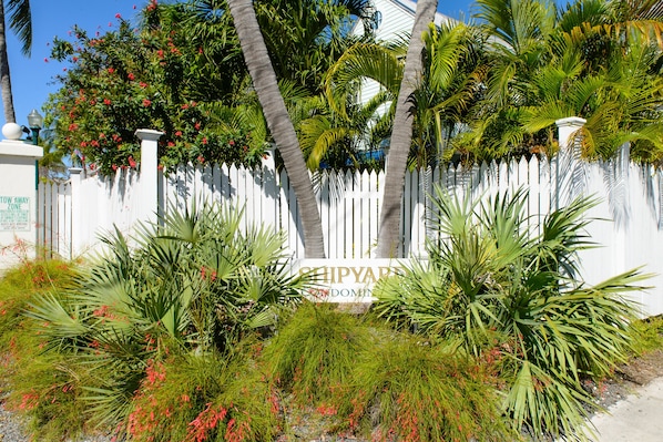 Escape to a serene garden oasis with lush tropical plants and palm trees, surrounded by a charming picket fence.