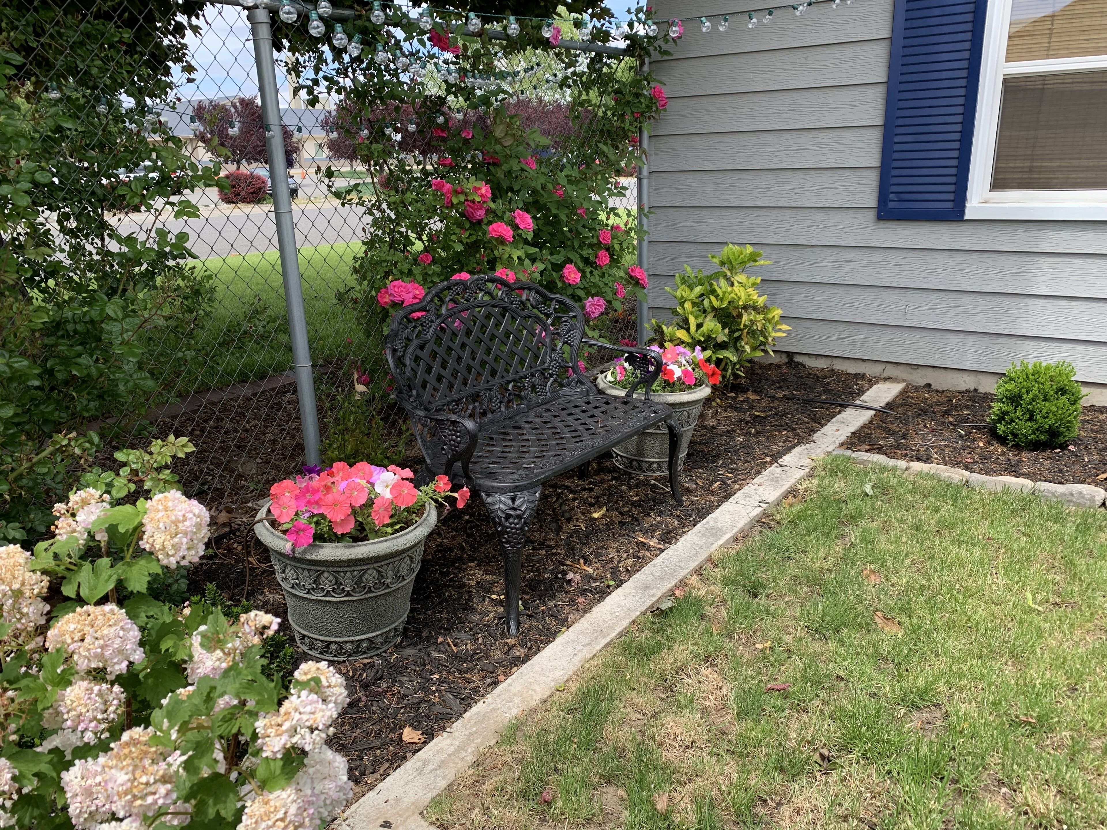 Un jardin avec un banc en métal, des plantes en pot et un petit arbre.