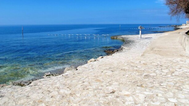 A coastal walkway with clear blue sea, stone pavement, and a few birds in the distance. - Apartment Chiara by Interhome (Novigrad (Istra))
