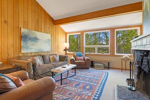 TV, fireplace, DVD player, books