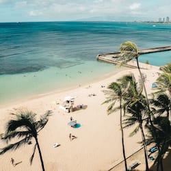 Signature Room, 1 King Bed, Ocean View | View from room