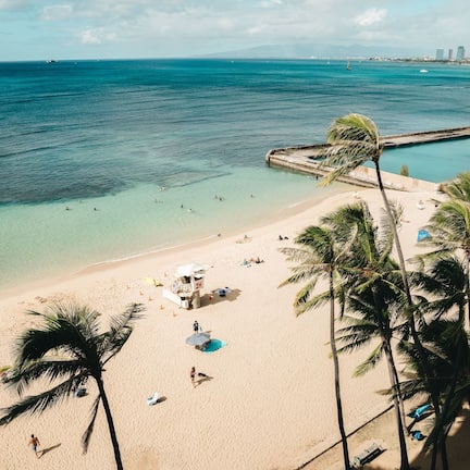 Signature Room, 1 King Bed, Ocean View | View from room