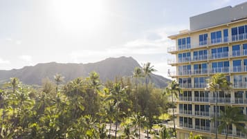 Vista dalla struttura