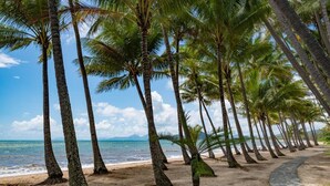 Uma praia com palmeiras e um caminho de pedra que leva à água.