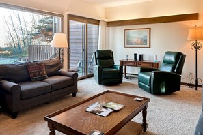 Televisio, takka, DVD-soitin, musiikkikirjasto