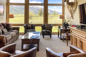 TV, fireplace, DVD player, books