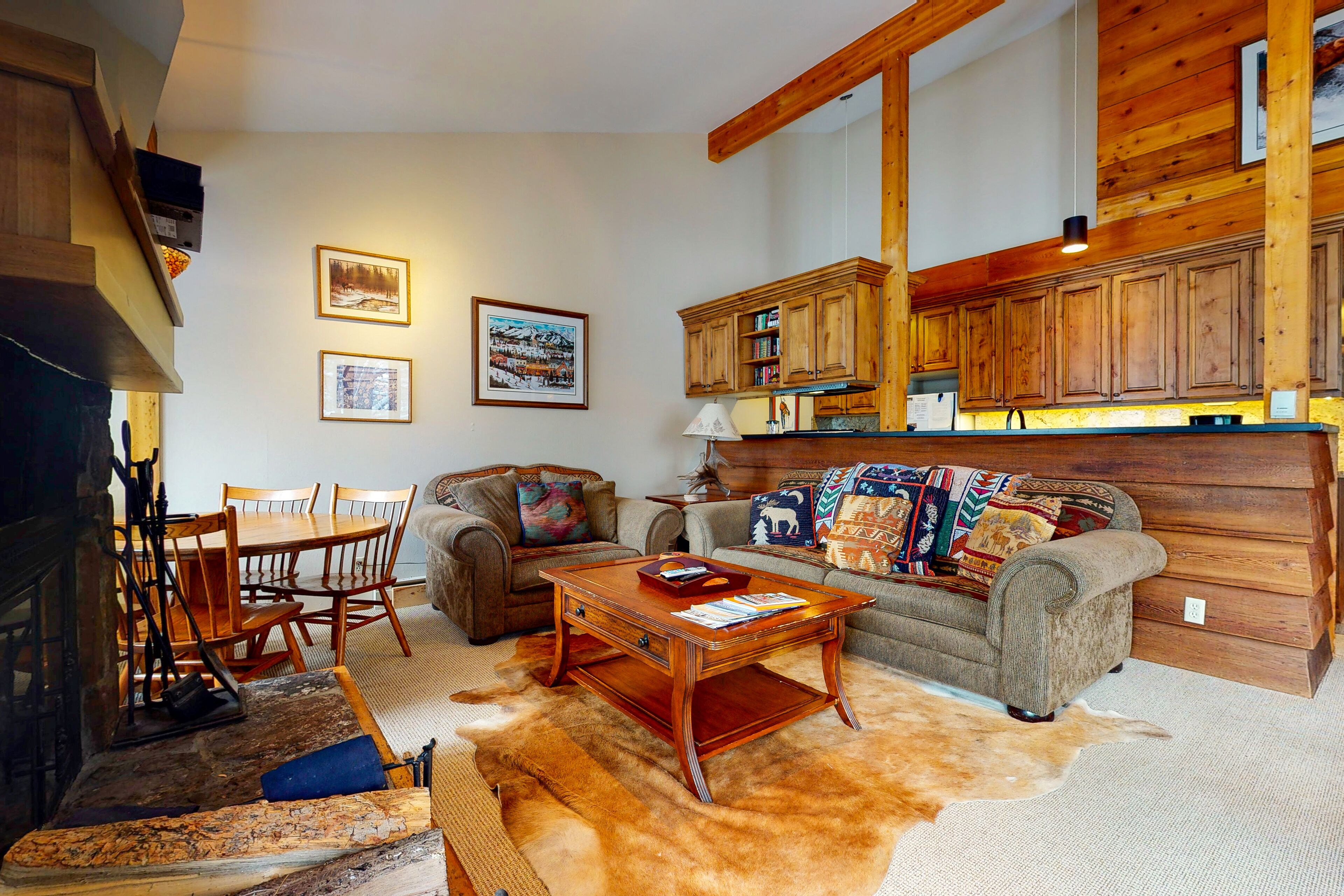 TV, fireplace, books