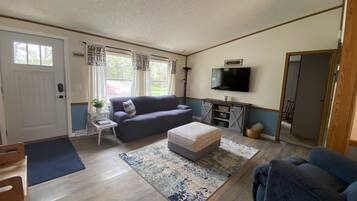 Smart TV, chimenea, reproductor de DVD, libros