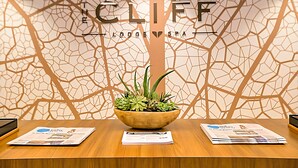 Ein Empfangsschalter mit Holztisch, einer Pflanze im Topf und einer Wand mit Rissmuster und dem Text "CLIEF LODGE SPA".