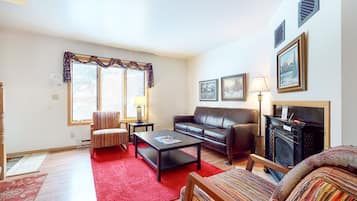 Télévision, cheminée, lecteur de DVD