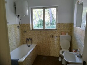 Combined shower/bathtub, hair dryer, towels