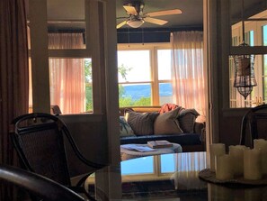 Smart TV, fireplace, books