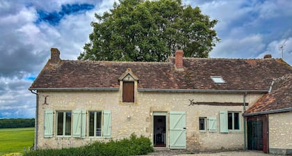 Renovated farm in peaceful setting with internet and large outdoor area