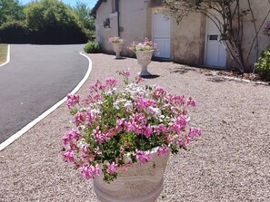 Terrain de l’hébergement 