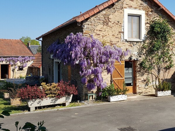 A stone building with a window and a door, surrounded by a garden with purple flowers and a bench.