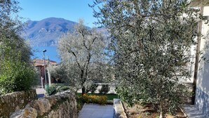 A stone pathway leading through a garden with olive trees and a view of mountains in the background. - Apartment Azalea with beautiful lake view (Brenzone sul Garda)